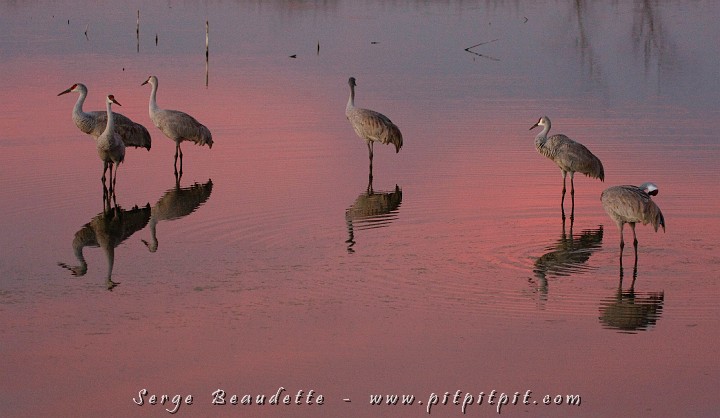 2009-01-04 17-52-23__MG_0223.JPG